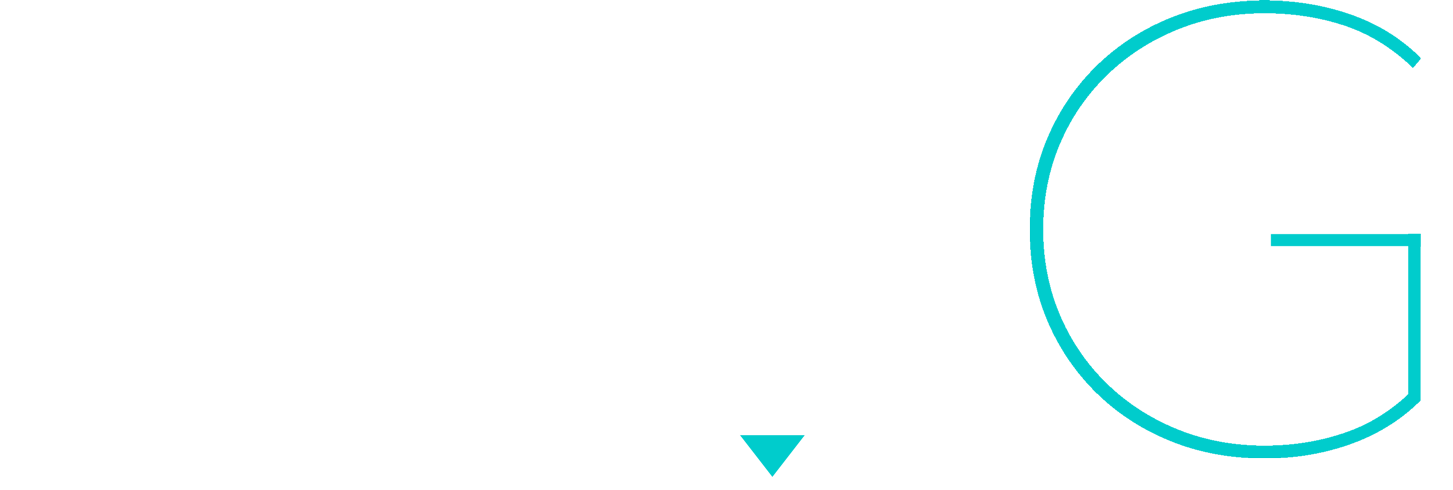 Verbilogic Mercatus Global